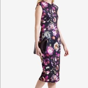 Ted Baker Raisie Shadow Floral Dress